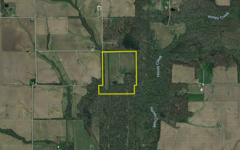 Screen shot 2020-07-13 at 9.42.17 am