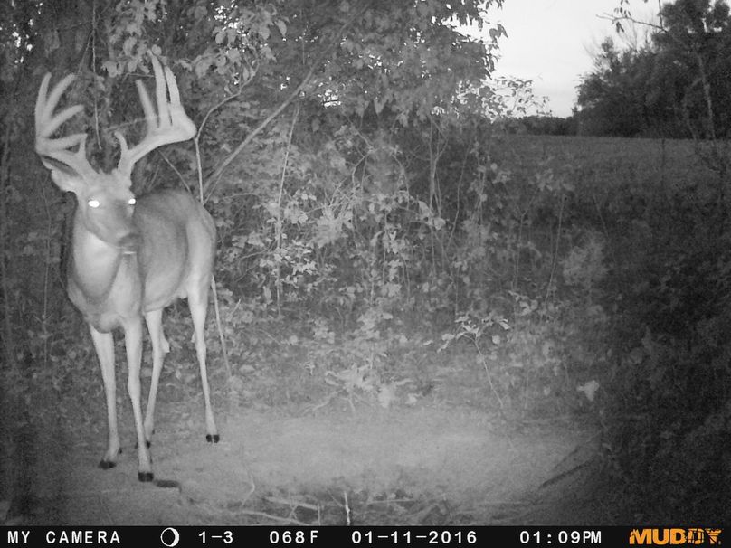 2016-01-11 12-09-04 003