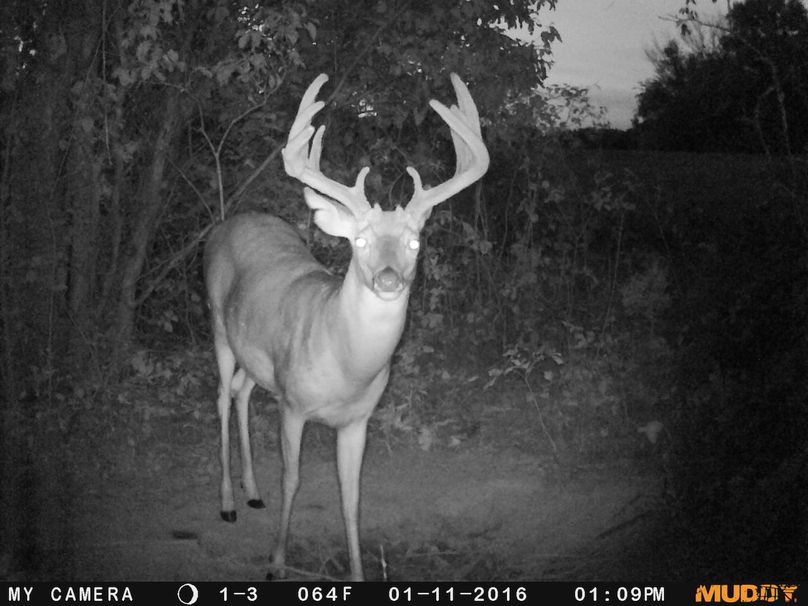 2016-01-11 12-09-04 010