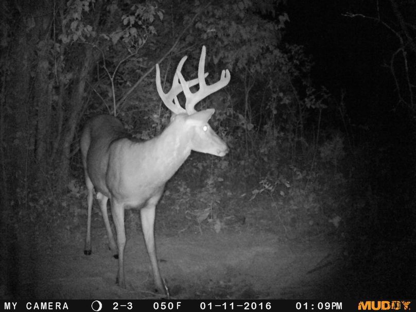 2016-01-11 12-09-04 024