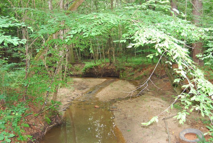 Creek(2)