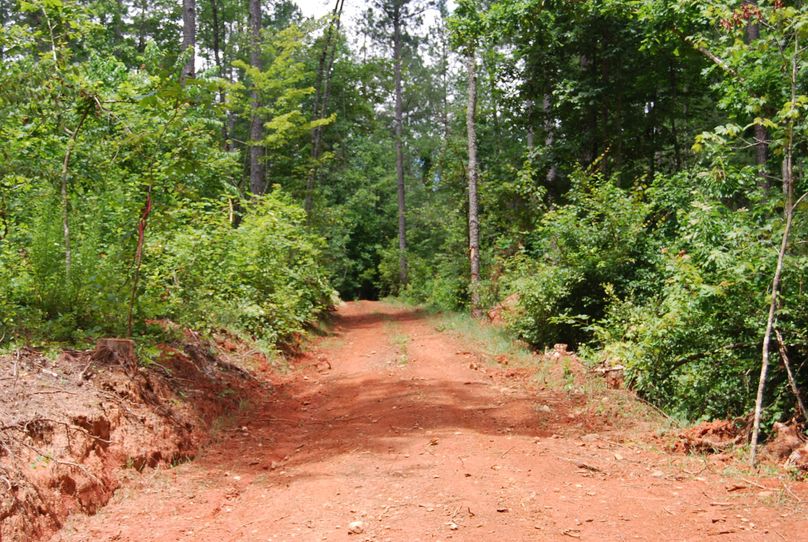 Entry road to property