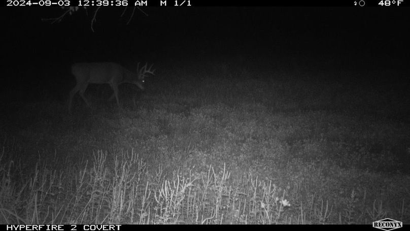 2024-09-03 00-39-36 M 1_1