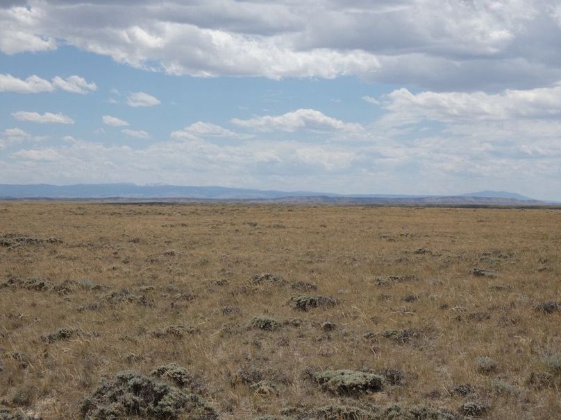 Ba159d1e-95d5-4b3f-b6ac-24aec4d53e61 1 105 c-2