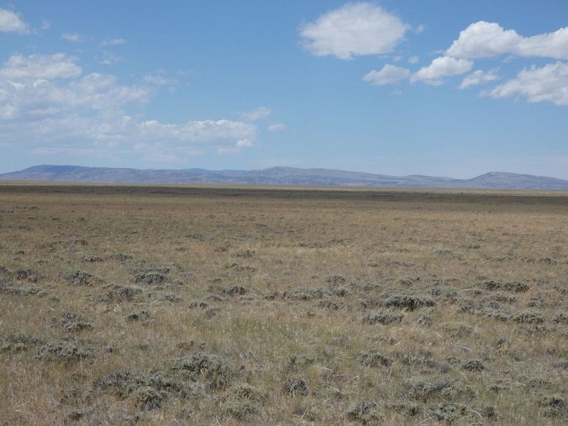 C21da1a5-7891-46e2-a162-9abf0f396a13 1 105 c-2