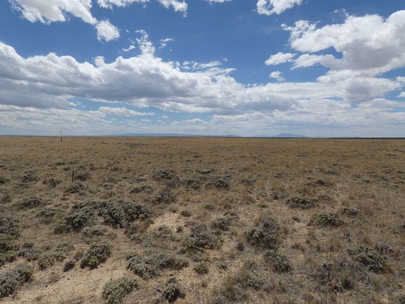 Da4316f3-8d8e-4a06-80b1-f893fdb0bff7 1 105 c-2