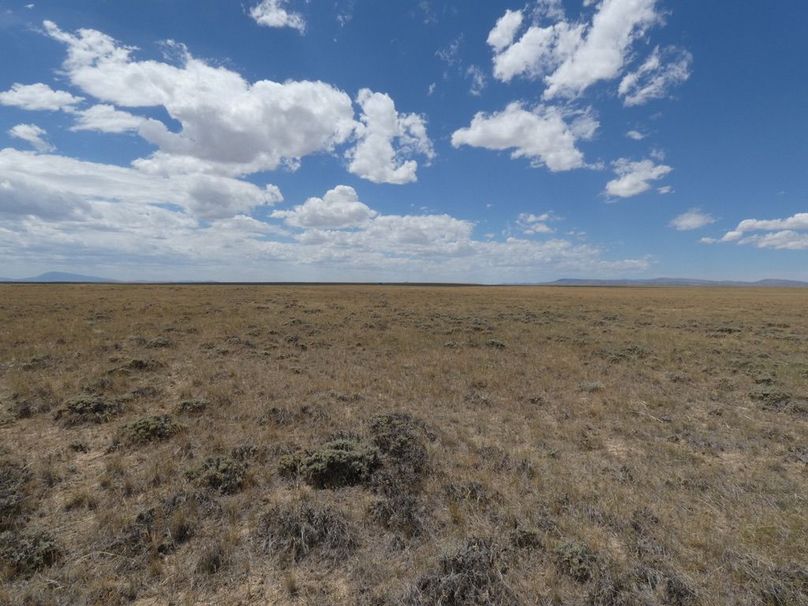 Ef42781a-515d-4e4f-bff2-59c344aaaab3 1 105 c-2