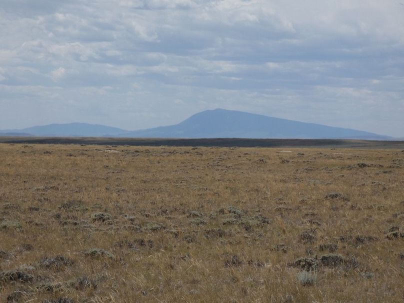 574099ea-d551-41fa-9ea4-ae703d6eb755 1 105 c-2