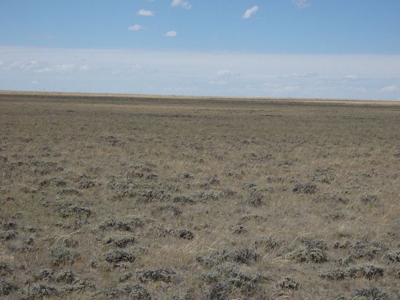 8159ae45-114b-4310-ae24-ec839f45168b 1 105 c-2