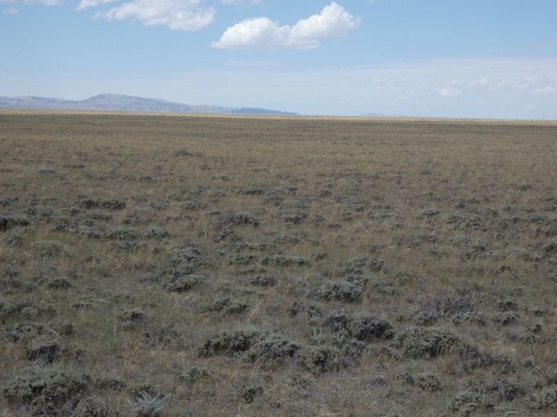 8b2b19b6-df90-43fc-97ea-8cffa1facda7 1 105 c-2