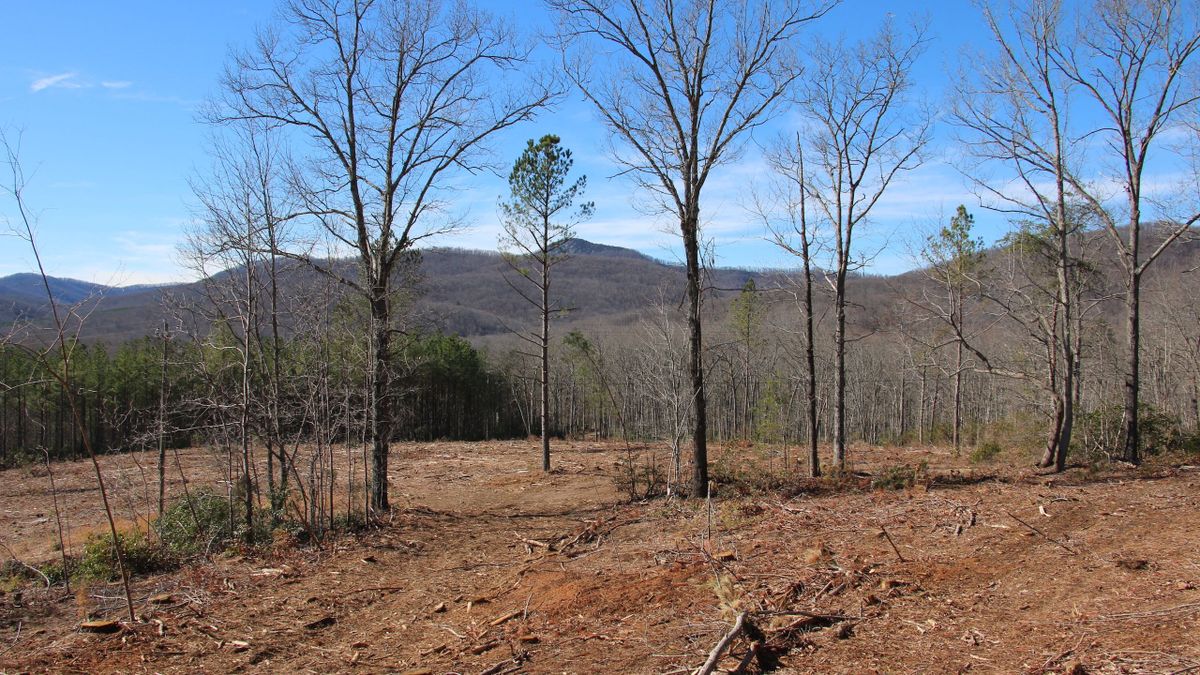Building Lot In The Dutch Creek Subdivision Whitetail Properties