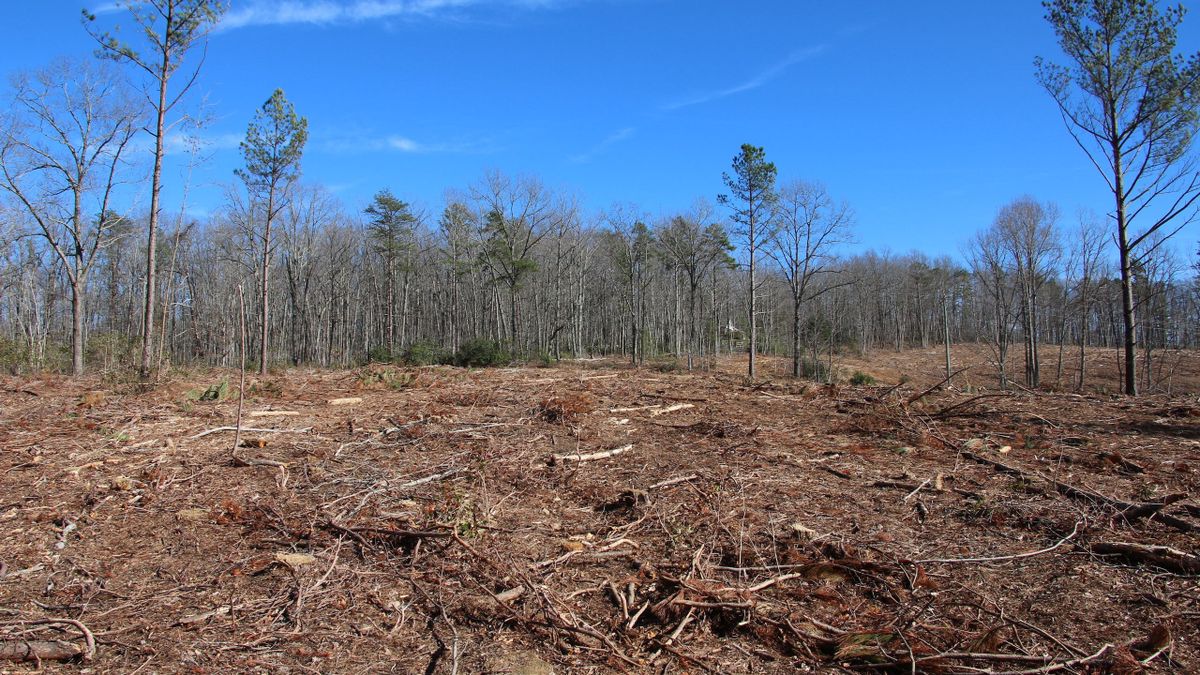 Dutch Creek Subdivision Building Lot Whitetail Properties