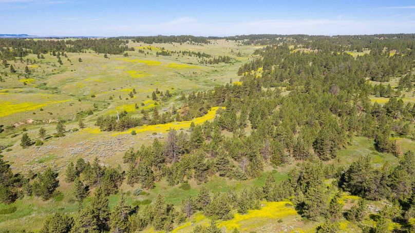 Volborgmontanatrophyranch27