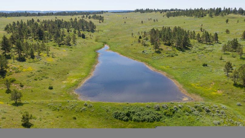 1volborgmontanatrophyranch15