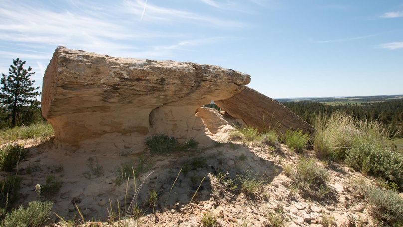 25volborgmontanatrophyranch11