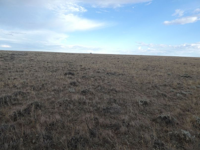 Cfe43d89-f4b4-435f-a5e7-a638b95b3272