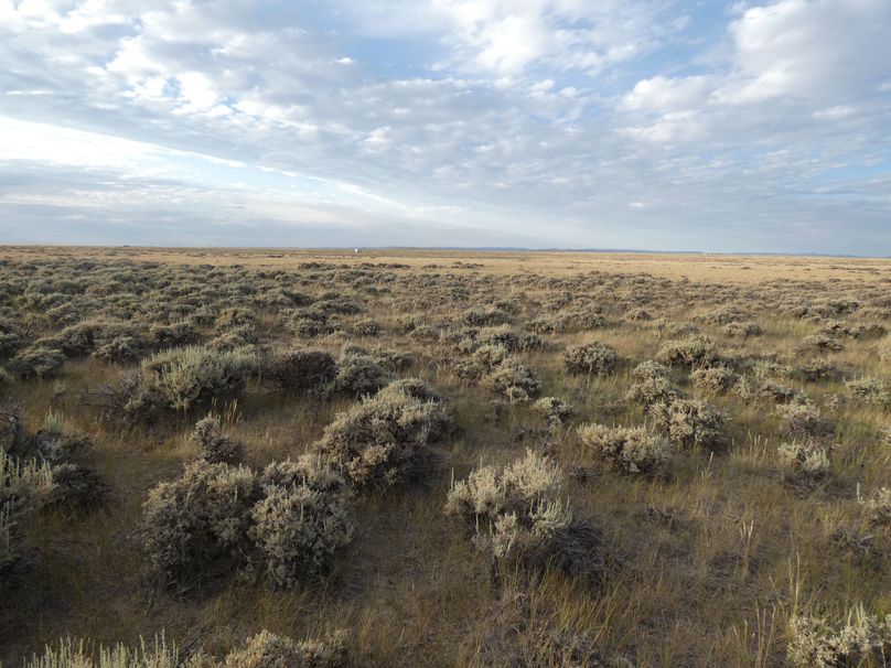 D44fc800-9212-499b-999f-bcd069152c86