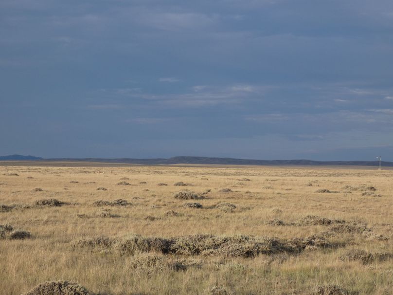 Dc7f436a-cc82-4fa2-9b5e-a253322c5d81