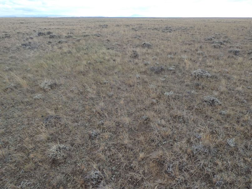 E9811062-94c1-42a1-8b85-54b0015501af