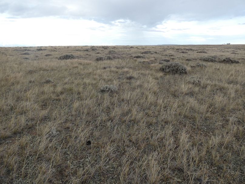 F0227932-01a1-49a0-838b-669be9d99444