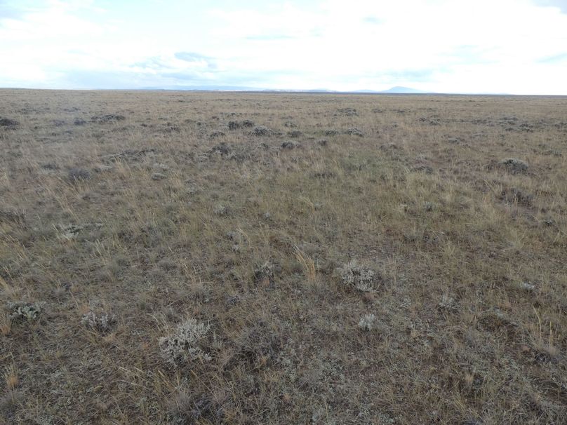 Fb2fedd4-bcaa-4644-bf06-5e2e467423d0