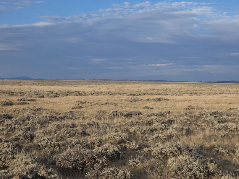 0c044e89-bfd0-44f4-b611-9b4e7e8af1b6