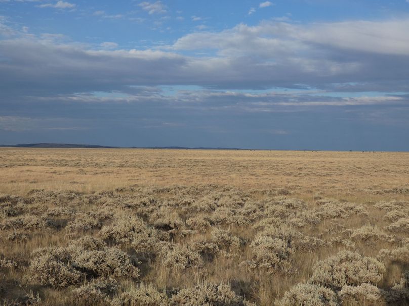 1a8842b4-f358-4d41-a9de-7bd5ad265b0a