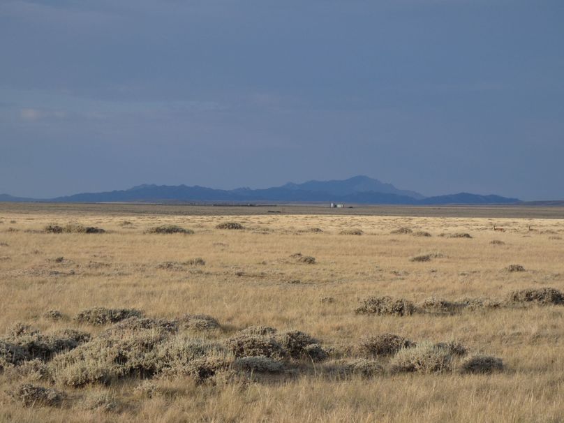 1ade343c-0c68-49af-8113-c78b73be2c84