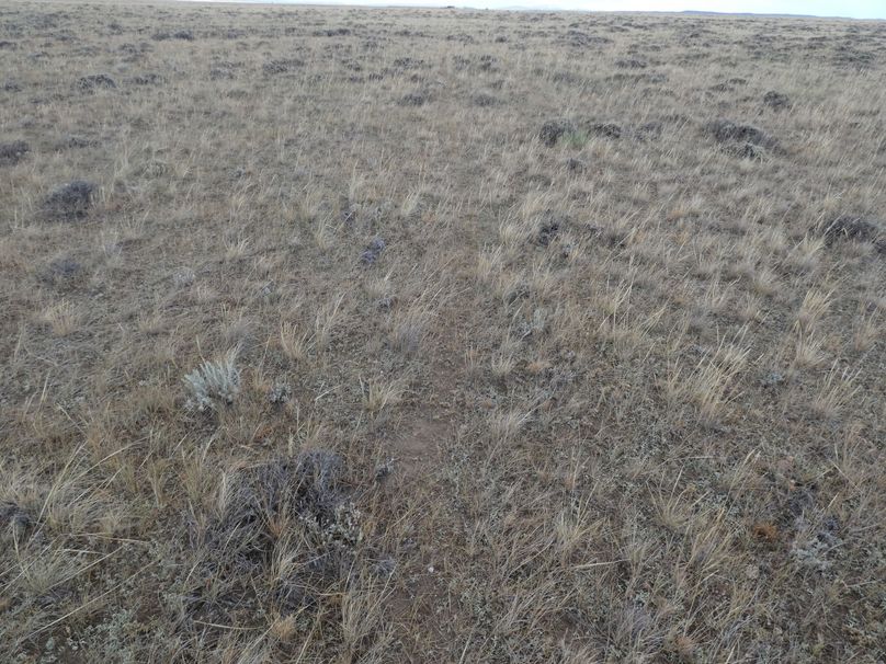 2a172084-6efe-476c-b5b1-0eae815c8a57