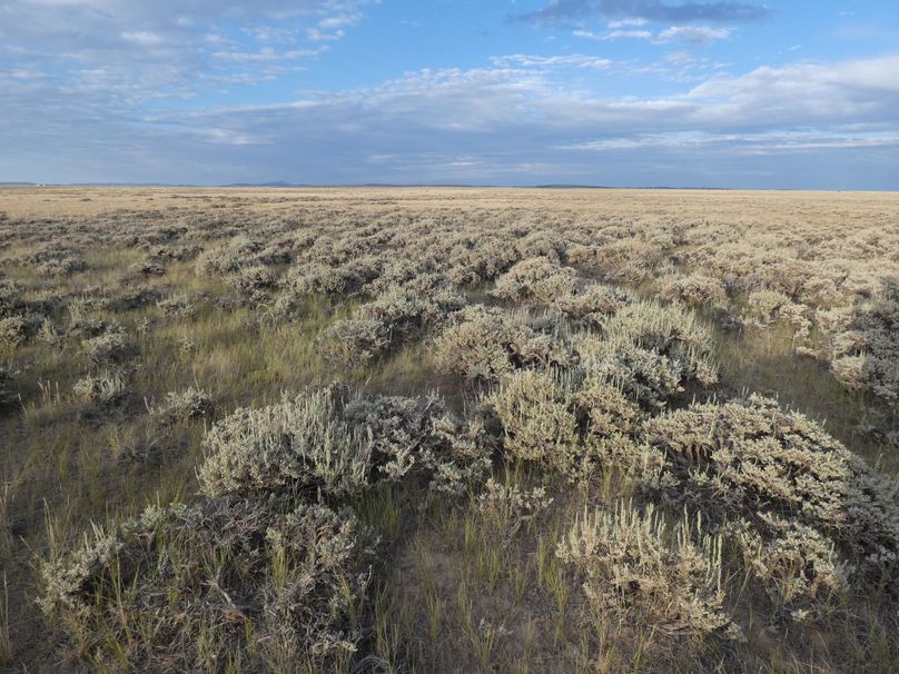 2a4d31b2-b495-4ff3-a1ec-283eddff7715