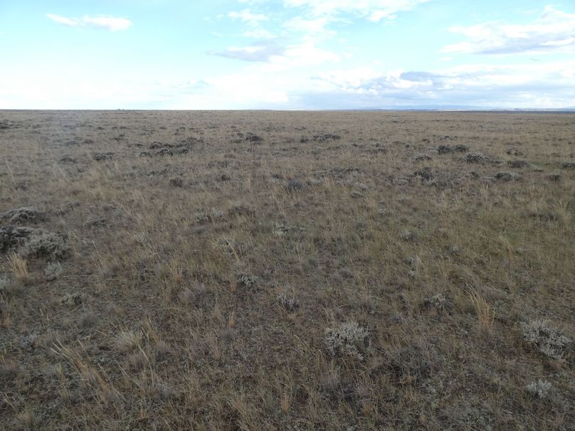 2dc4047c-1bcb-4527-bc29-0a45b06b56da