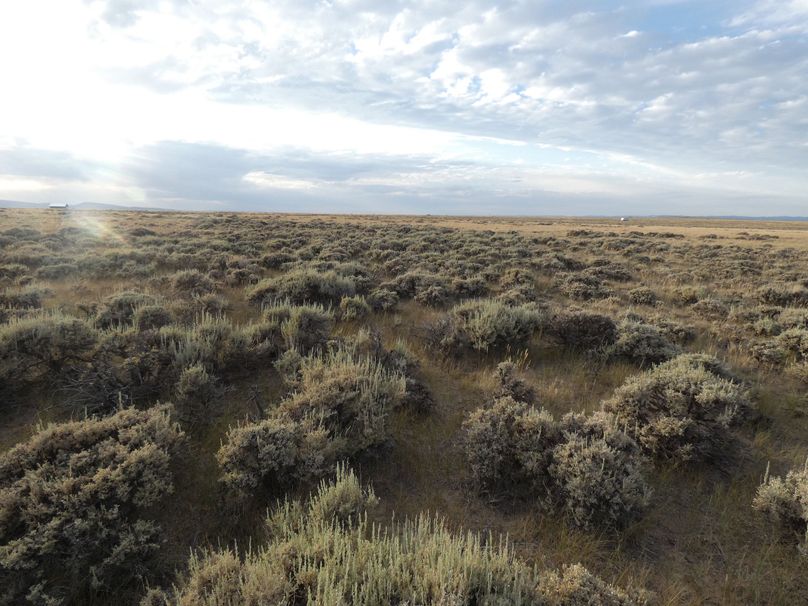 309a531b-d668-4ede-a5ad-990b44bc4203