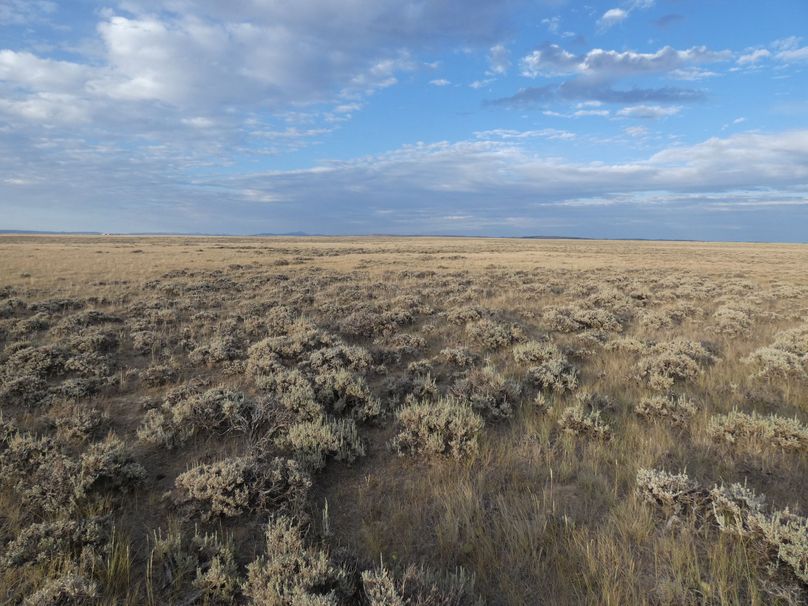 3329de42-8c7c-41d2-9e17-a7dbc4256288