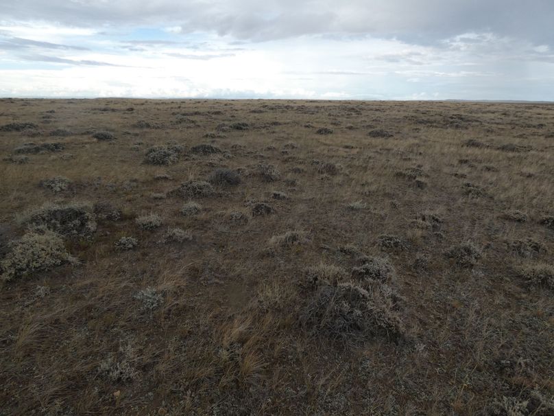 3ca5d3ce-aba6-40a0-803f-26b973bc9aaa