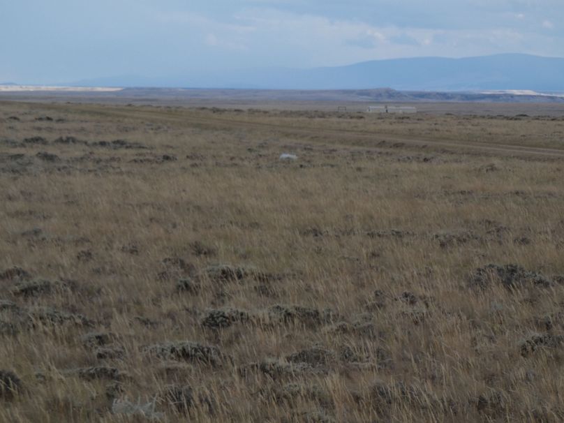 4aad75b4-0763-459a-b6d4-71efa4b39b53