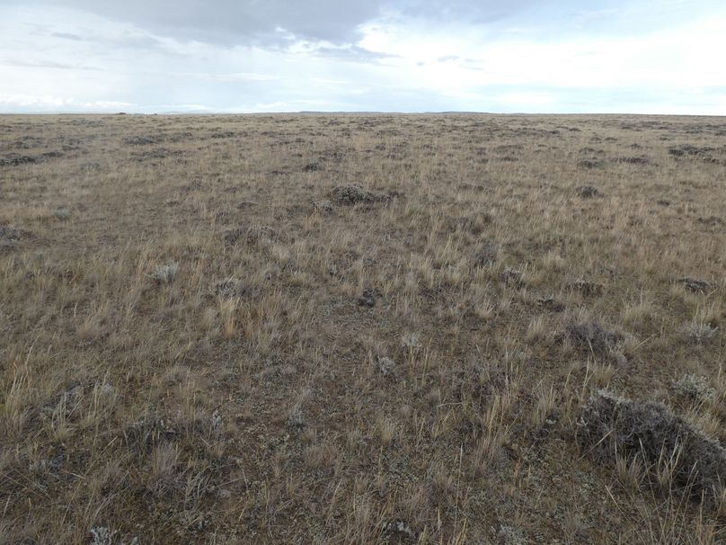 4e1c3ad4-0df9-4998-a3a7-c5fc4f06d13c