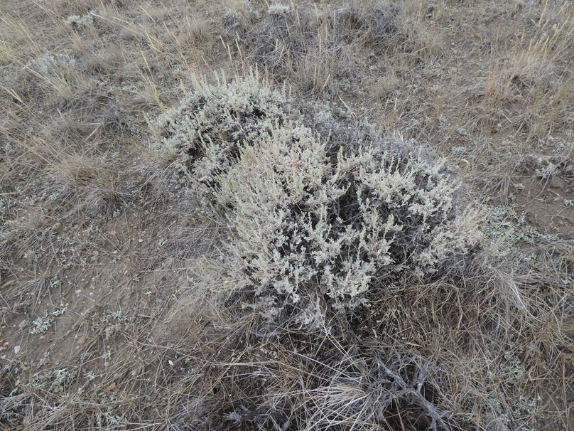 4f0f76f7-2aa5-41f3-a5da-87127f576bbd