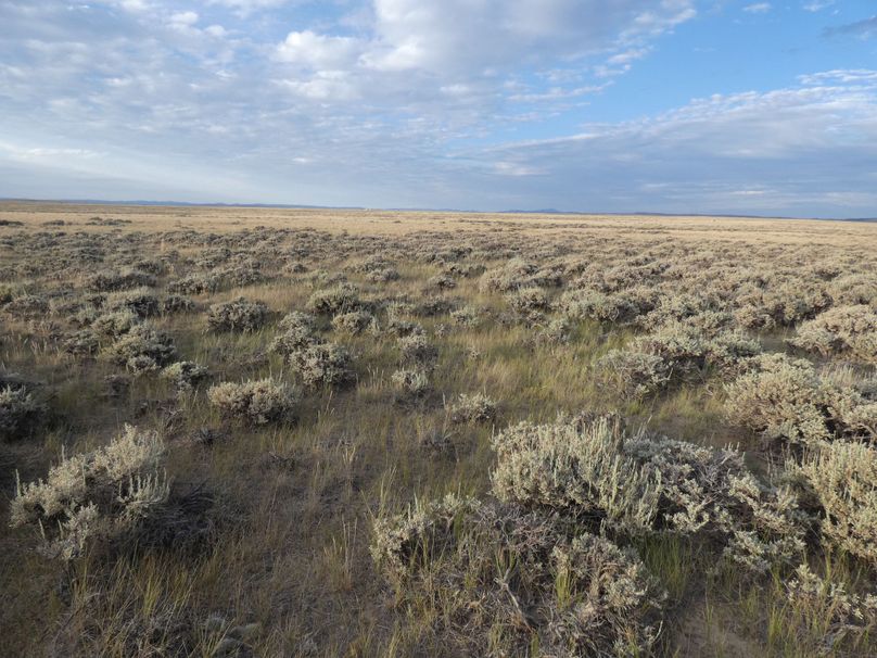 5ae5e034-f381-41a2-99af-ab0465d1c0c3