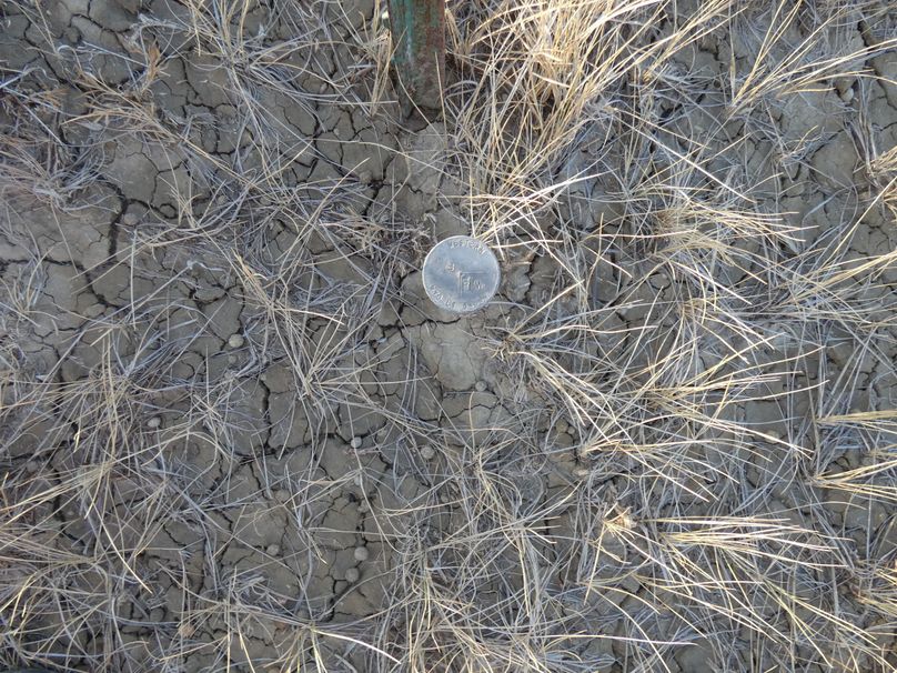 67d25294-1278-47ef-98c6-1880b6403a81