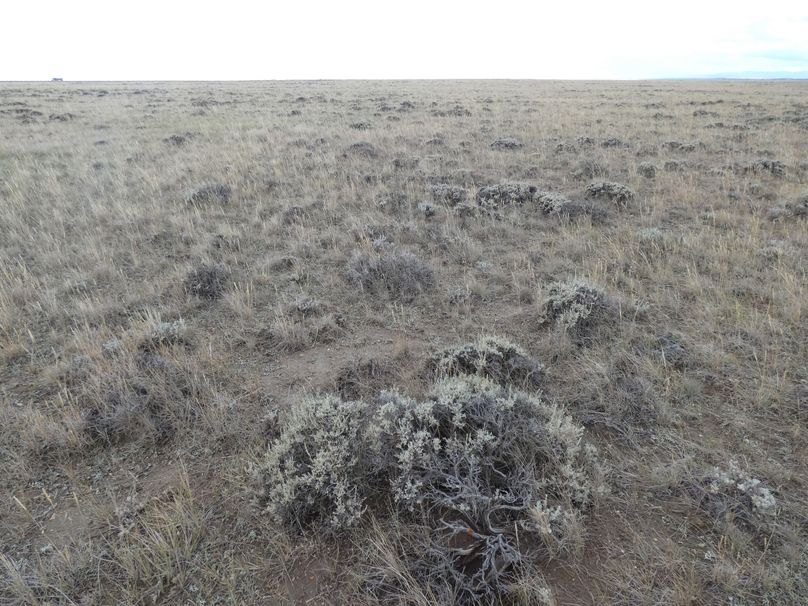 618c4ccb-deea-48da-bde2-1210dbe610f1