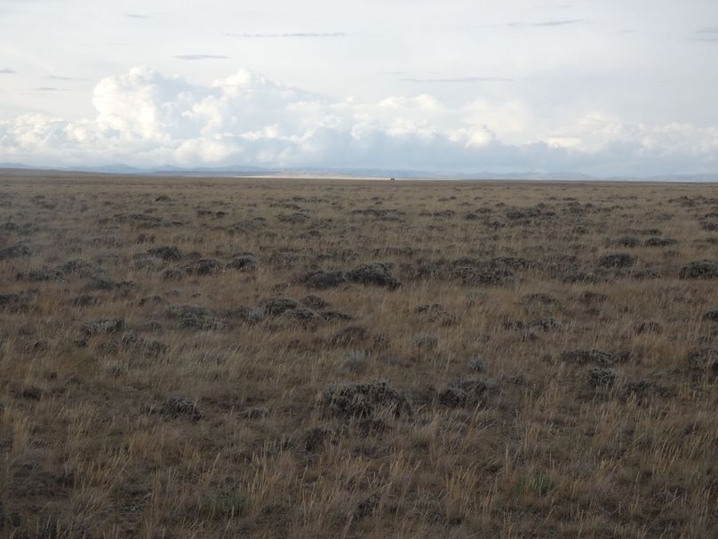 7655676c-d0d8-411e-b0c9-bd5f5f8bdd3b