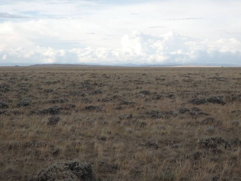 8cafdf23-9c46-4258-85ed-882b6e217908