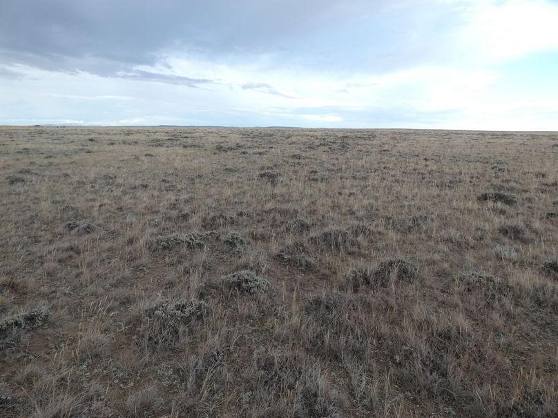 98c6ce3c-c6ee-4505-8d3f-4679d25eeecf