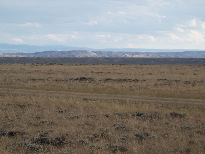 91b14b3e-870a-4534-9bf1-7727941ba15a