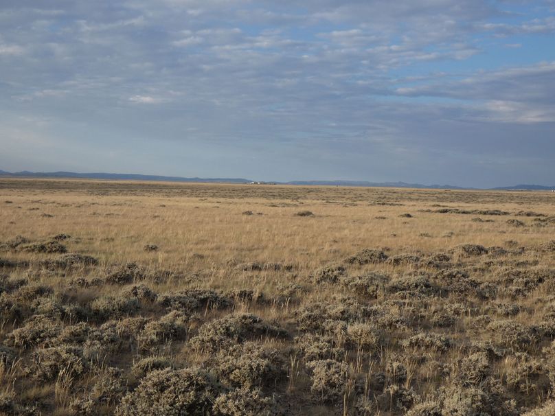 9e3b231b-1971-4939-ae52-bfac8f79a149