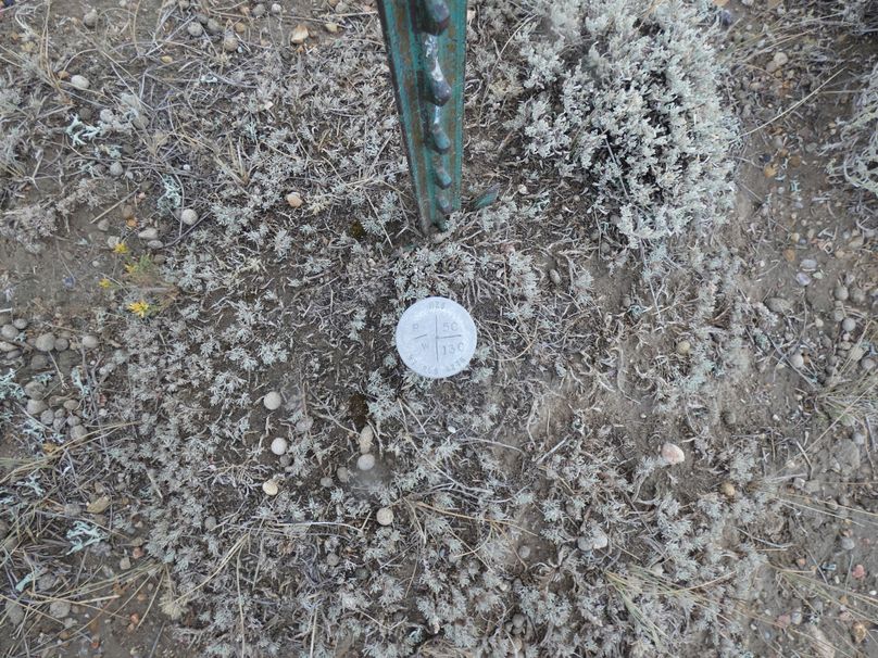 9e2392c3-fcaf-4ff6-958c-877ca278e567