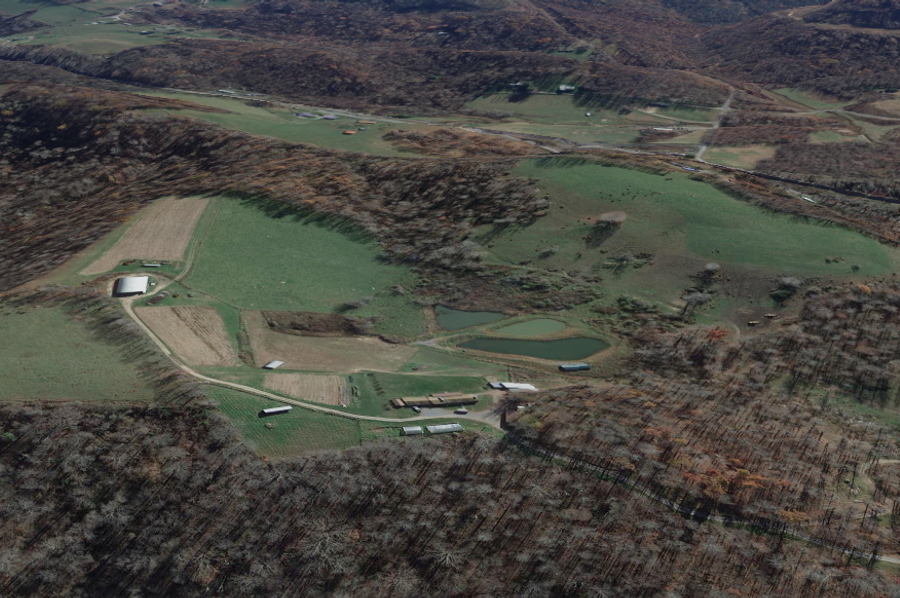 Aerial 7