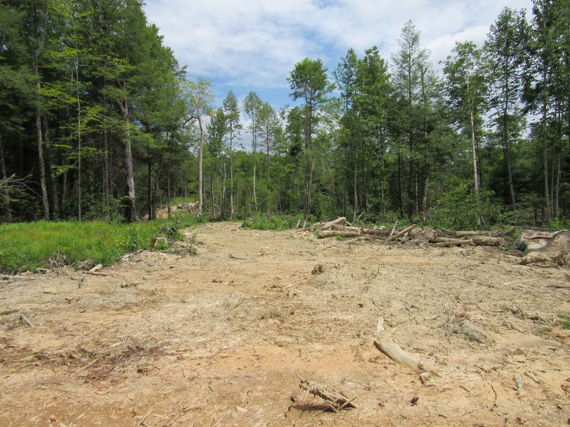 Looking back at county road frontage
