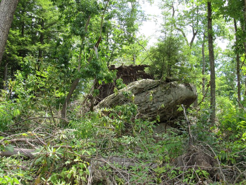 Rock outcropping (2)