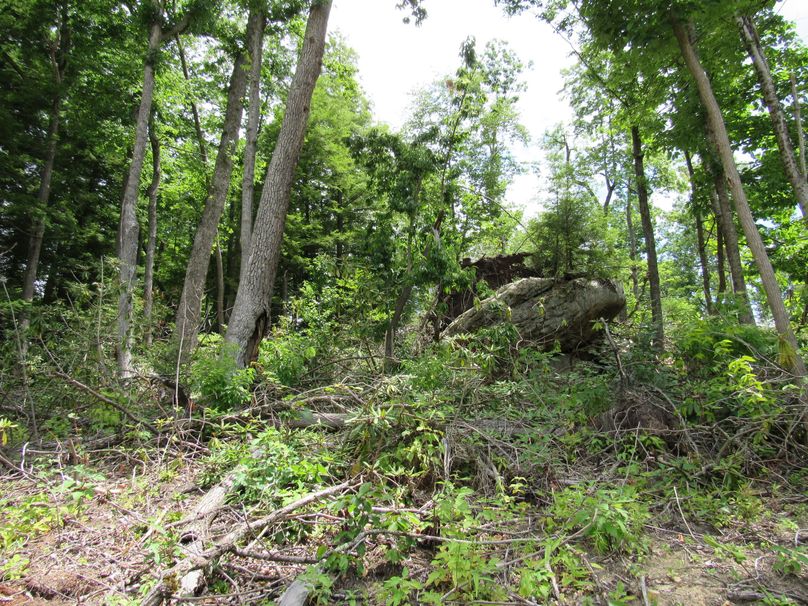 Rock outcropping (3)